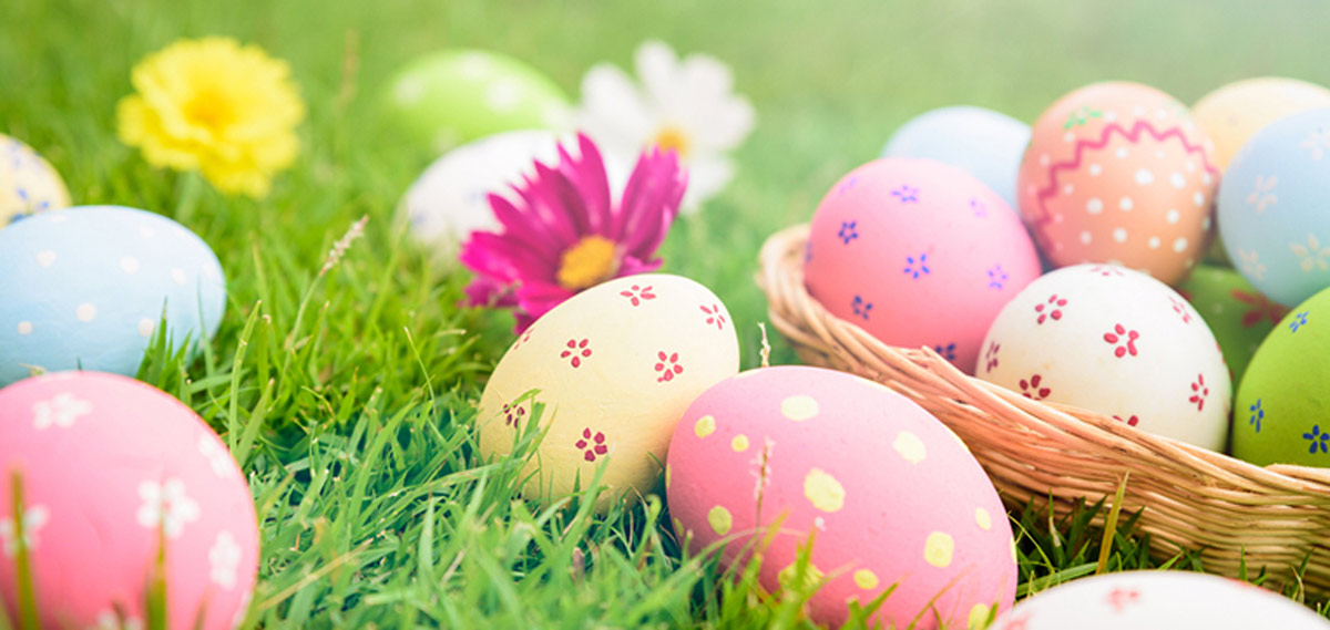 Hop To It: Bellingham Easter Egg Hunt